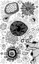 Psychedelic abstract ink abstract sketch with eye. Surreal weird line drawing for design, coloring page for adults. Vector