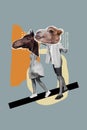 Psychedelic collage photo of two headless people couple walking spend time together camel mammal horse animals isolated Royalty Free Stock Photo