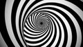 Optical black and white spinning illusion