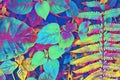 Psychedelic fern leaf and plant closeup. Forest floor colorful digital illustration. Neon fern leaves natural background