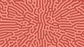 Psychedelic Frantic Radial Pattern Vector Coral Colored Abstract Background