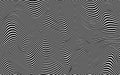 Psychedelic lines. Abstract pattern. Texture with wavy, curves stripes. Optical art background. Wave black and white design