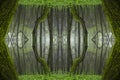 Psychedelic Rain Forest, Symmetrical Kaleidoscope Abstract Background.