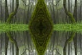 Psychedelic Rain Forest, Symmetrical Kaleidoscope Abstract Background.