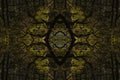 Psychedelic Rain Forest, Symmetrical Kaleidoscope Abstract Background. Royalty Free Stock Photo