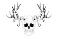 Psychedelic skull. Realistic horrible colorful black and white human skull with large sharp deer antlers and flowers