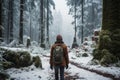 Psychological depth lone traveler navigates the impact of snow covered forest