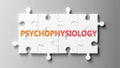 Psychophysiology complex like a puzzle - pictured as word Psychophysiology on a puzzle to show that it can be difficult and needs Royalty Free Stock Photo