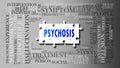 Psychosis - a complex subject, related to many concepts. Pictured as a puzzle and a word cloud made of most important ideas and