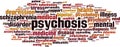 Psychosis word cloud Royalty Free Stock Photo