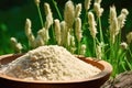 Psyllium husk in a bowl, with Plantago ovata plant in background - Generated AI