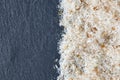 Psyllium ispaghula husk Royalty Free Stock Photo