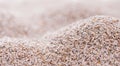 Psyllium Seeds Background Royalty Free Stock Photo