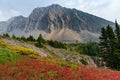 Ptarmigan Cirque Trail, Kananaskis, Alberta, Canada Royalty Free Stock Photo