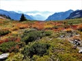 Ptarmigan ridge trail with fall color Royalty Free Stock Photo