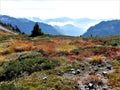 Ptarmigan ridge trail with fall color Royalty Free Stock Photo