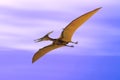 Pteranodon