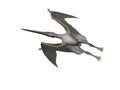 Pteranodon