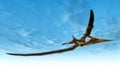 Pteranodon bird flying - 3D render