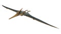 Pteranodon