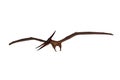 Pteranodon dinosaur flying and looking down for prey. 3D illustration isolated on white with clipping path