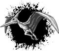 monochromatic Pteranodon flying dinosaur illustration on white background Royalty Free Stock Photo