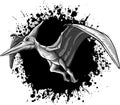 monochromatic Pteranodon flying dinosaur illustration on white background