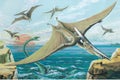 Pteranodon