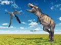 Pteranodon and Tyrannosaurus Rex Royalty Free Stock Photo