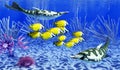 Pteraspis hunt Foxface Rabbitfish Royalty Free Stock Photo
