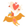 Pterodactyl, cute cartoon-style dinosaur flying on red heart-shaped balloon, flat style vector illustration, isolated on