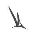 Pterodactyl icon, Vector drawing, Pteranodon bird