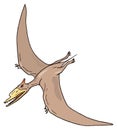 pterodactyl pteranodon dinosaur ancient vector illustration transparent background Royalty Free Stock Photo