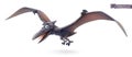 Pterodactyl. Pterosaur, flying dinosaur cartoon character. Funny animal 3d vector icon Royalty Free Stock Photo
