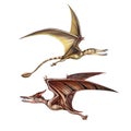 Pterodactyl and rhamphorhynchus