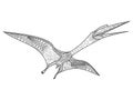 Pterosaur coloring book for adults vector Royalty Free Stock Photo