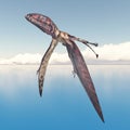 Pterosaur Dimorphodon