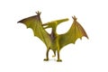 Pterosaur dinosaur toy isolated on white Royalty Free Stock Photo