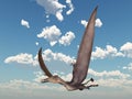 Pterosaur Dorygnathus Royalty Free Stock Photo