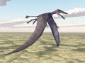 Pterosaur Dorygnathus Royalty Free Stock Photo