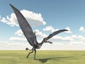 Pterosaur Dorygnathus Royalty Free Stock Photo