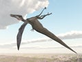 Pterosaur Dorygnathus Royalty Free Stock Photo