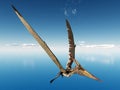 Pterosaur Pteranodon Royalty Free Stock Photo