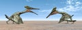 Pterosaur Pterodactylus Royalty Free Stock Photo