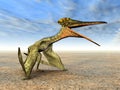 Pterosaur Pterodactylus Royalty Free Stock Photo