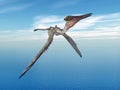 Pterosaur Pterodactylus