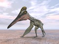 Pterosaur Pterodactylus Royalty Free Stock Photo