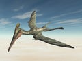 Pterosaur Pterodactylus Royalty Free Stock Photo