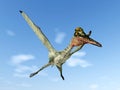 Pterosaur Pterodactylus Royalty Free Stock Photo
