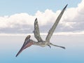 Pterosaur Pterodactylus